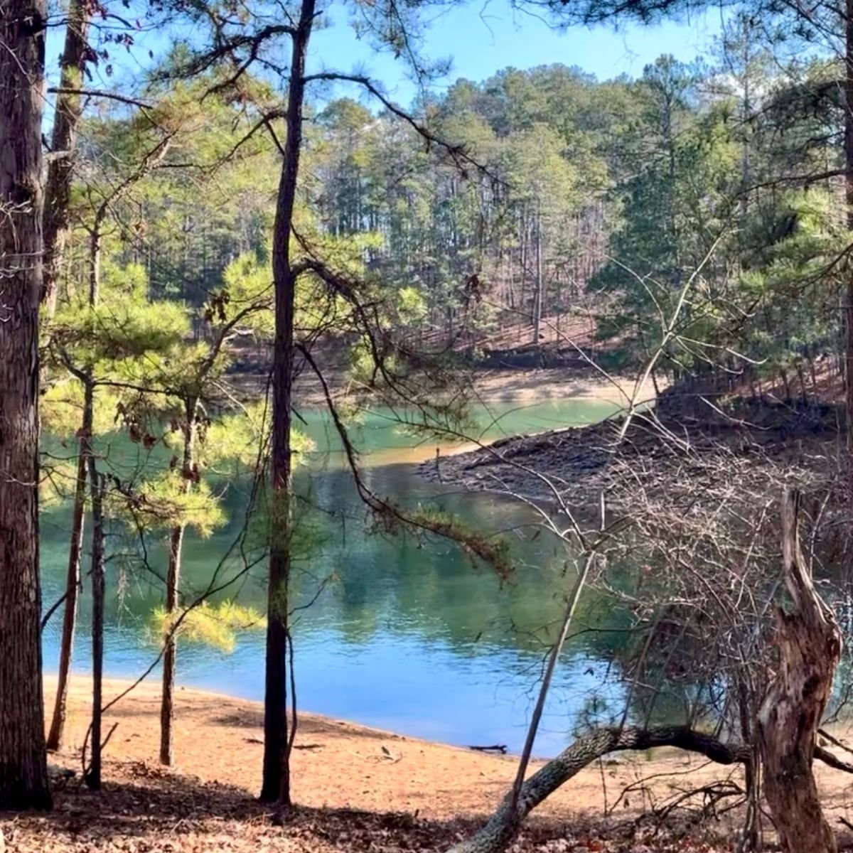 GA State Parks Accessibility Campaign